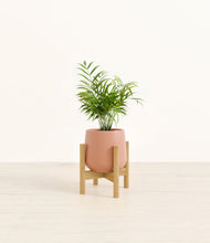 Load image into Gallery viewer, Calm Rose stand:bamboo
