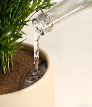 Load image into Gallery viewer, Almond Green stand:all
