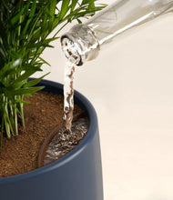 Load image into Gallery viewer, Deep Navy stand:all
