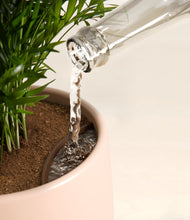 Load image into Gallery viewer, Gentle Pink stand:all
