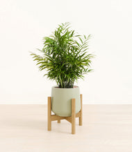 Load image into Gallery viewer, Turquoise stand:bamboo
