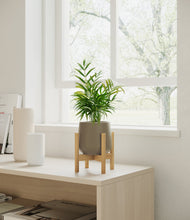 Load image into Gallery viewer, Olive stand:bamboo
