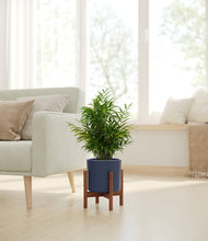 Load image into Gallery viewer, Deep Navy stand:walnut
