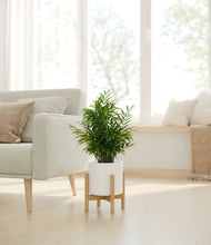 Load image into Gallery viewer, White stand:bamboo
