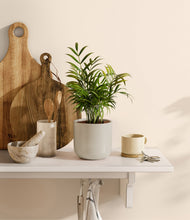 Load image into Gallery viewer, Cotton White
