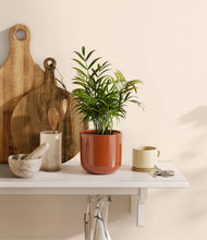 Load image into Gallery viewer, Glossy Red
