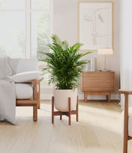 Load image into Gallery viewer, Sandy Pink stand:walnut
