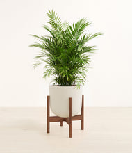 Load image into Gallery viewer, Natural Bamboo stand:walnut
