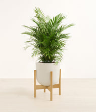 Load image into Gallery viewer, Natural Bamboo stand:bamboo
