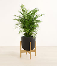 Load image into Gallery viewer, Stone Black stand:bamboo
