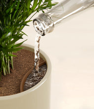 Load image into Gallery viewer, Sage Green stand:all
