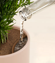 Load image into Gallery viewer, Sandy Pink stand:all
