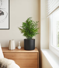 Load image into Gallery viewer, Black
