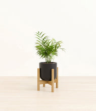 Load image into Gallery viewer, Stone Black stand:bamboo
