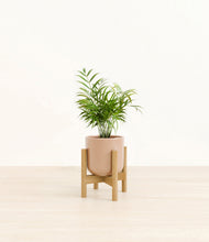 Load image into Gallery viewer, Glossy Pink stand:bamboo
