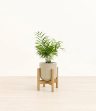 Load image into Gallery viewer, Sage Green stand:bamboo
