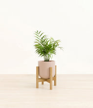 Load image into Gallery viewer, Sandy Pink stand:bamboo

