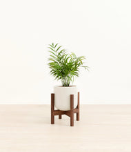 Load image into Gallery viewer, Cotton White stand:walnut
