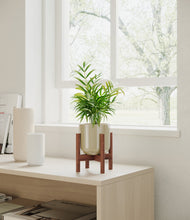 Load image into Gallery viewer, Sage Green stand:walnut
