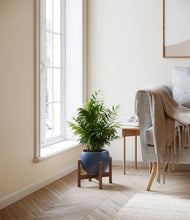 Load image into Gallery viewer, Deep Navy stand:walnut
