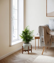 Load image into Gallery viewer, Deep Ocean stand:walnut
