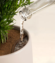 Load image into Gallery viewer, Woodland
