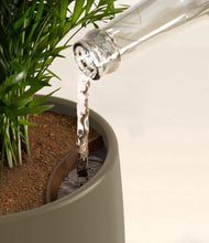 Load image into Gallery viewer, Olive Branch stand:all
