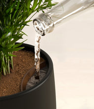 Load image into Gallery viewer, Orca stand:all
