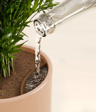 Load image into Gallery viewer, Pixie Petals
