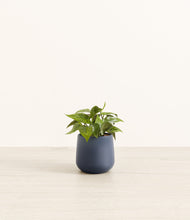 Load image into Gallery viewer, Deep Navy*****Profile
