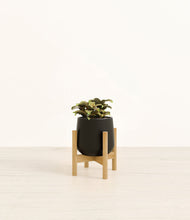 Load image into Gallery viewer, Black stand:bamboo
