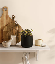 Load image into Gallery viewer, Black
