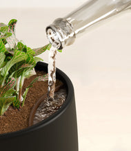 Load image into Gallery viewer, Black stand:all
