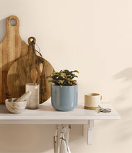 Load image into Gallery viewer, Misty Blue
