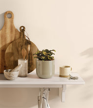 Load image into Gallery viewer, Sage Green
