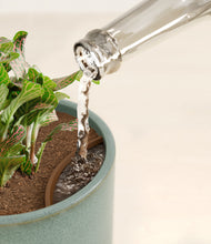 Load image into Gallery viewer, Reactive Aqua stand:all
