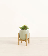 Load image into Gallery viewer, Turquoise stand:bamboo
