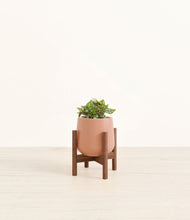 Load image into Gallery viewer, Calm Rose stand:walnut
