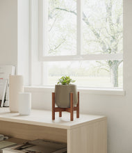 Load image into Gallery viewer, Olive stand:walnut
