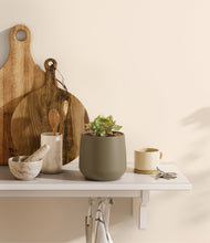 Load image into Gallery viewer, Olive
