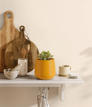 Load image into Gallery viewer, Mustard
