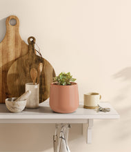 Load image into Gallery viewer, Calm Rose
