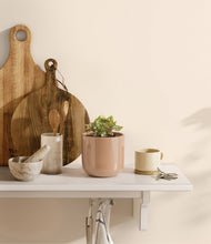 Load image into Gallery viewer, Glossy Pink
