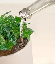 Load image into Gallery viewer, Eternal Gray stand:all
