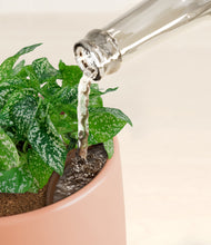 Load image into Gallery viewer, Calm Rose stand:all
