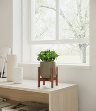 Load image into Gallery viewer, Olive stand:walnut
