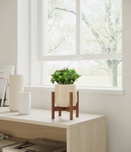 Load image into Gallery viewer, Almond Green stand:walnut
