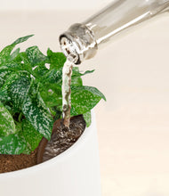 Load image into Gallery viewer, White stand:all
