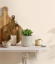 Load image into Gallery viewer, Cotton White
