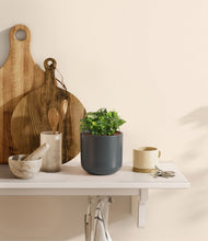 Load image into Gallery viewer, Iron Gray
